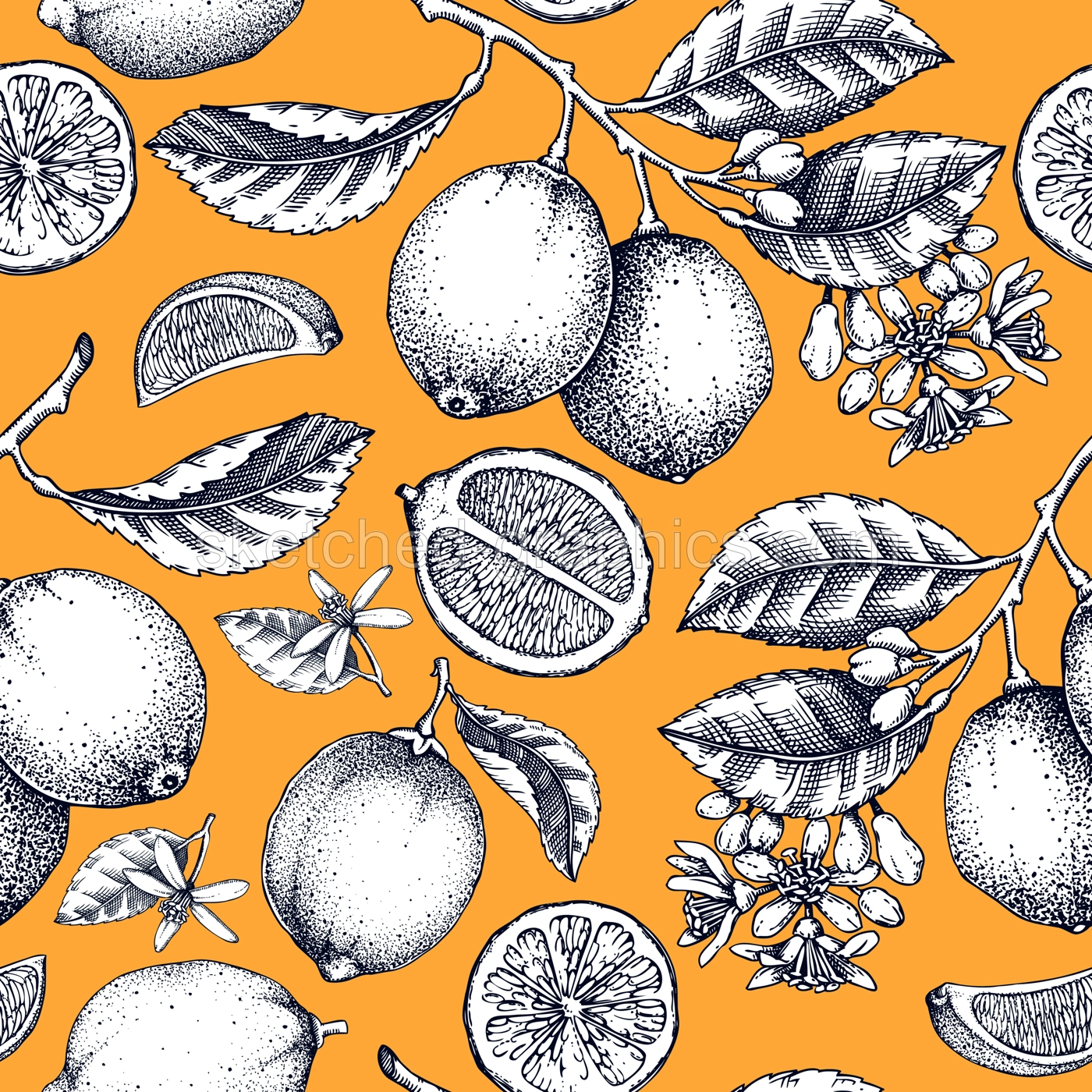 Lime fruit seamless pattern. Citrus fruit sketches. Classic botany background. Exotic plants texture. Hand drawn vector illustration. NOT AI generated Illustration